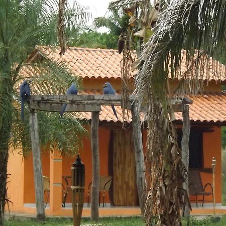 Pousada Reserva Ecologica Jaguar Poconé Eksteriør billede