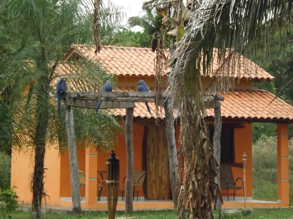 Pousada Reserva Ecologica Jaguar Poconé Eksteriør billede
